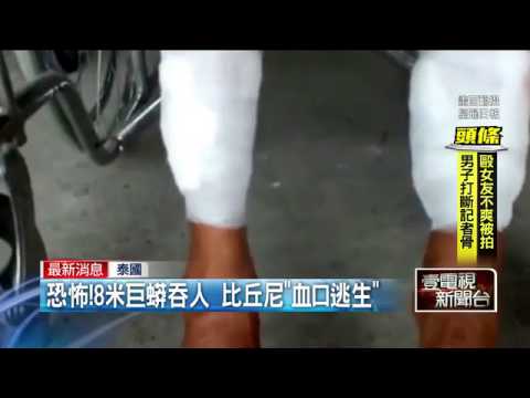 恐怖！8米巨蟒吞人　比丘尼「血口逃生」   即時新聞   新聞   壹電視 NextTV