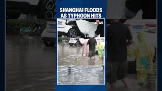 Typhoon Dolphin Floods Shanghai as Heavy Rain Disrupts Metro and Ferry Services