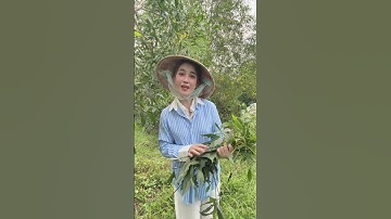 Cô Gái Thất Tình Sơ Hở Là Tiểu Phẩm Và Cái Kết || Cả Nhà Xem Vui follow Đăng Ký Kênh Ủng Hộ Nhé