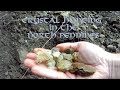 Crystal Hunting in the North Pennines (Summer 2017)