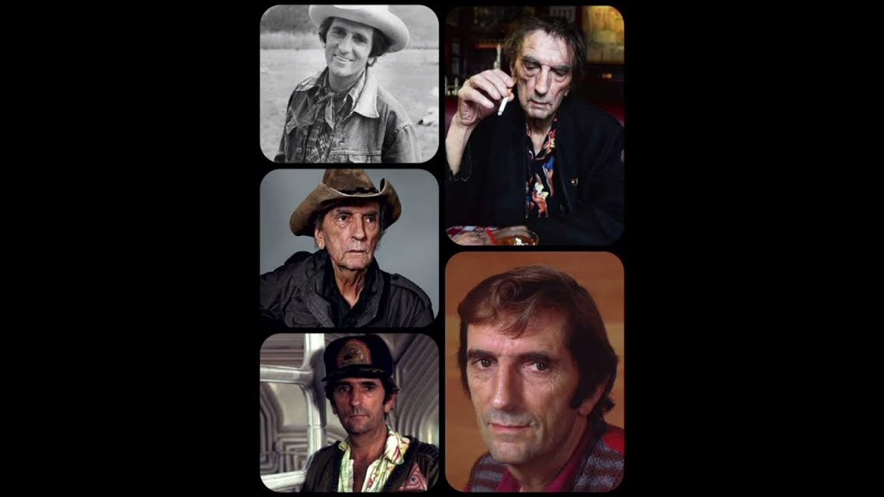 HARRY DEAN STANTON KİMDİR ?