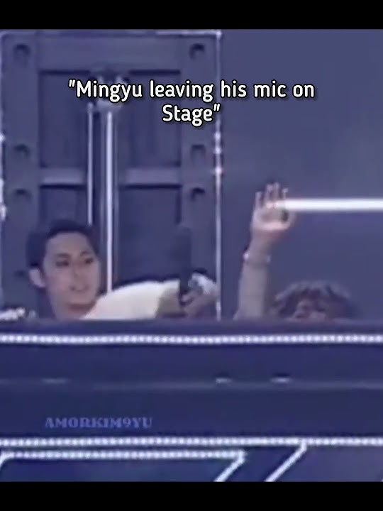 they love us just the way we love them🥺❤️#seventeen #mingyu