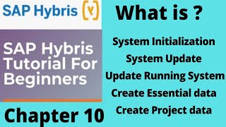 system initialization and update in hybris | SAP hybris tutorial for beginners |Part10