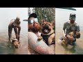 Vlog - French Bulldog Swimming Practise