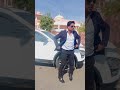 #shortvideo #shortsfeed #trandingshorts #trandingsong #vairalshorts -#vairalvideo #007