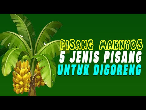 Ide Nama Jualan Pisang