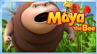 Arı Maya Dön Tırtıl Dön Çizgi Filmi