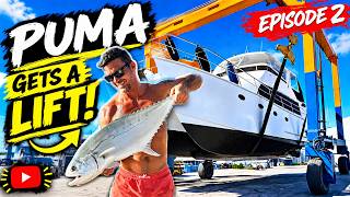 Time for haul out! Percy Island to Mackay, Puma gets her bum cleaned & we catch so many Queenfish!