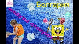 Болгария Солнечный берег 2017 Бассейн Море Ловим медузу