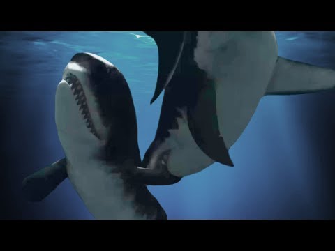 Megalodon against the biting sperm whale