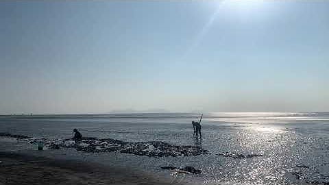 Cào nghêu - Tận hưởng ngày cuối tuần thú vị tại Cần Giờ