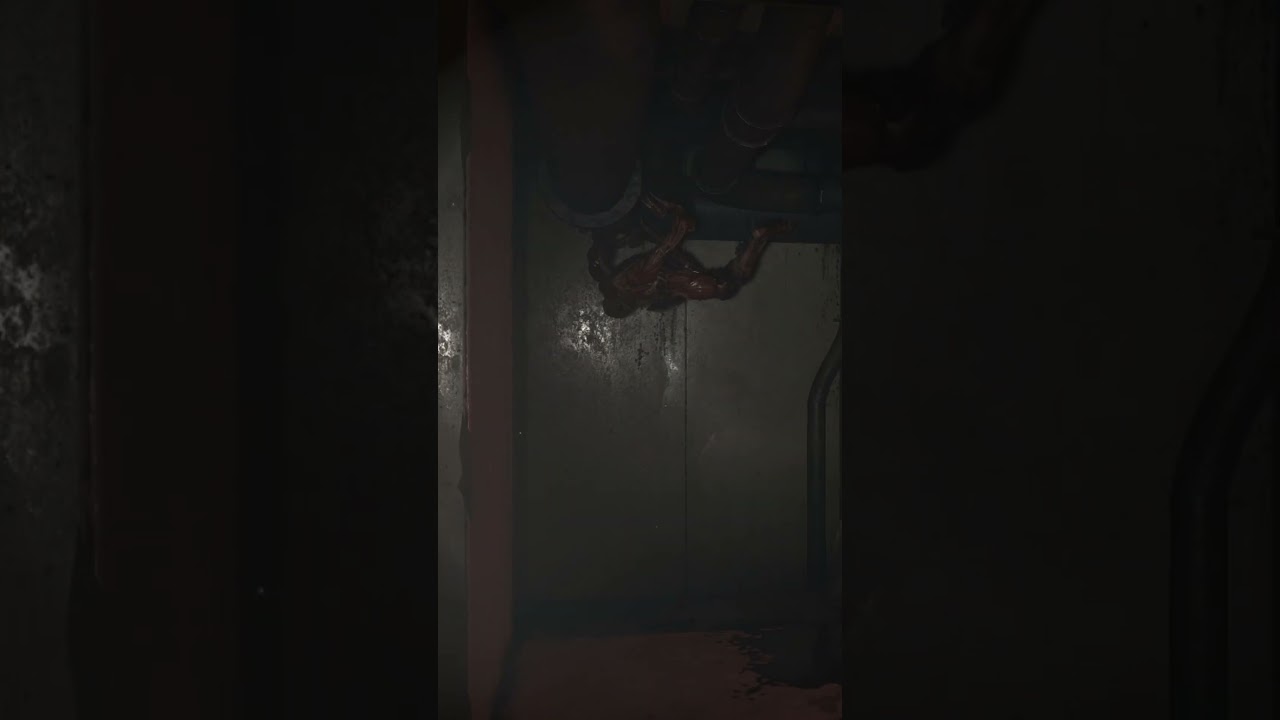 First Person Resident Evil 2 Remake