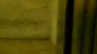 Celebrity Warner Center L.D. (Loading Dock) Elevator Version 0.01 Net Worth