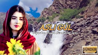 Aslı Gül - Diyardan Diyara Sürmüşler Seni [Dertli Duygulu Türkü Resimi