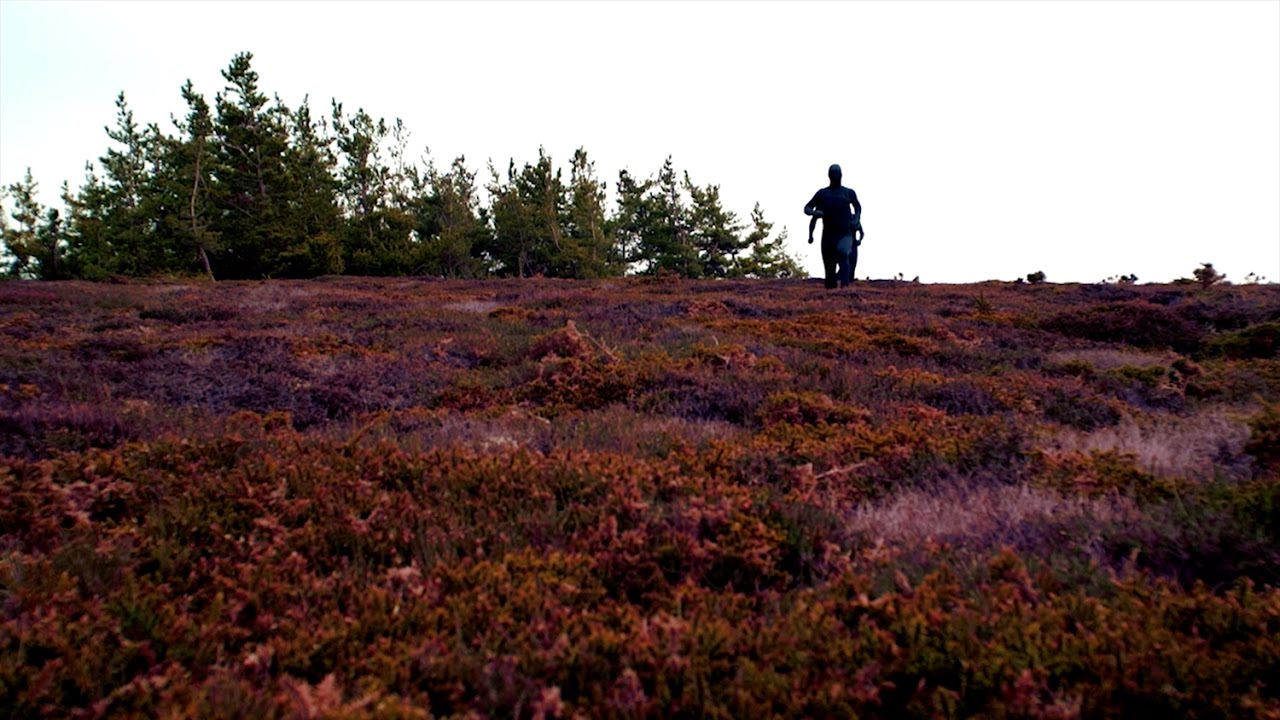 Alter Real - Nothing Is Under Control feat. Timsters (Official Music Video)