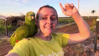 Bicudo Hoje Tá Atacado