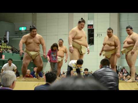 大相撲横須賀場所　ちびっ子わんぱく相撲