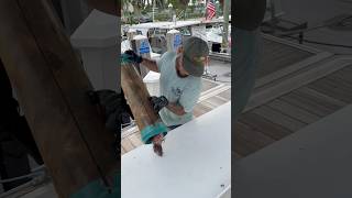 Over 20 Pounds Of Lionfish Are In This Zookeeper