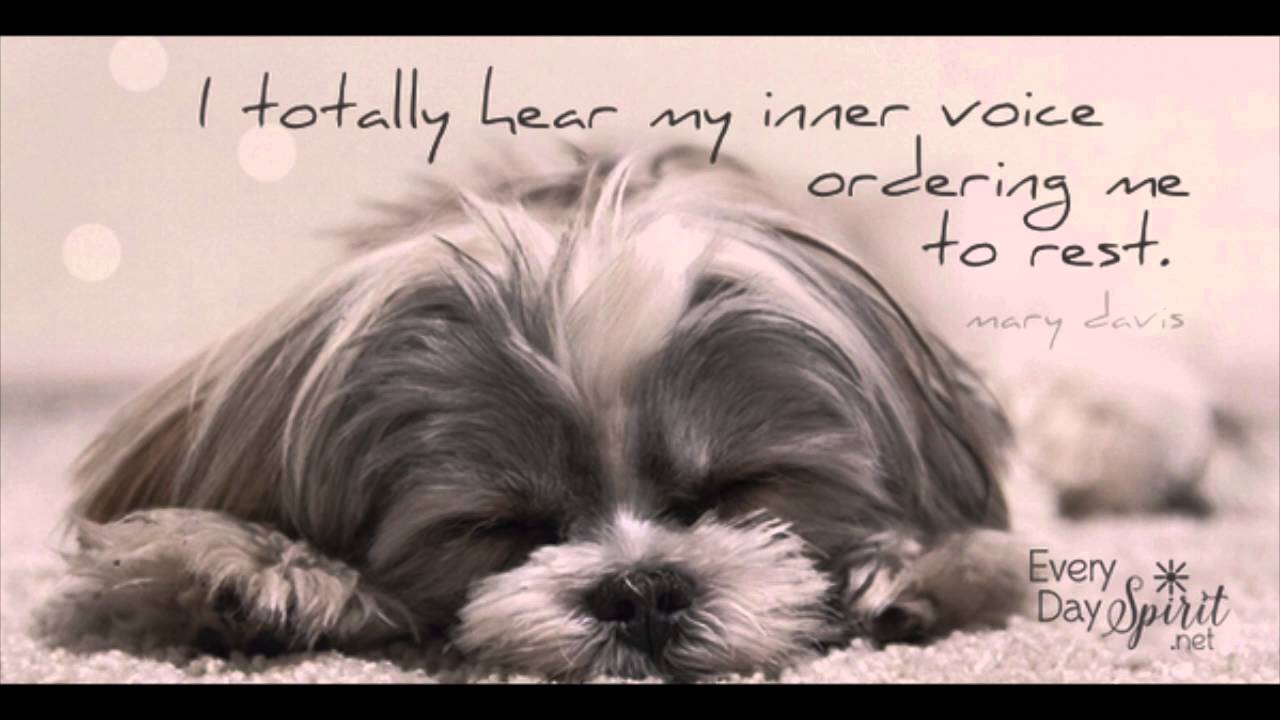 Totally Rest - YouTube