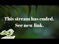 Relaxing Piano Music & Rain Sounds 24/7