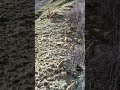 #Ингушетия