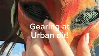 Therian vlog at urban air