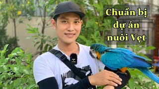 Đi Tìm Hiểu Về Các Dòng Vẹt Để Chuẩn Bị Cho Dự Án Mới