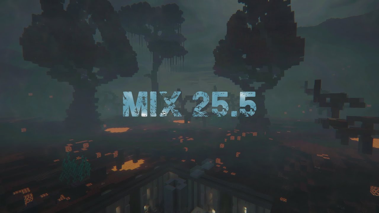 Mix 25.5 - Introjection