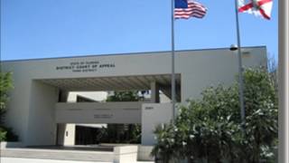 MG v. DCF (Fla. 3rd DCA) (argued April 2, 2012)