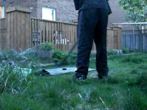 Stance.AVI