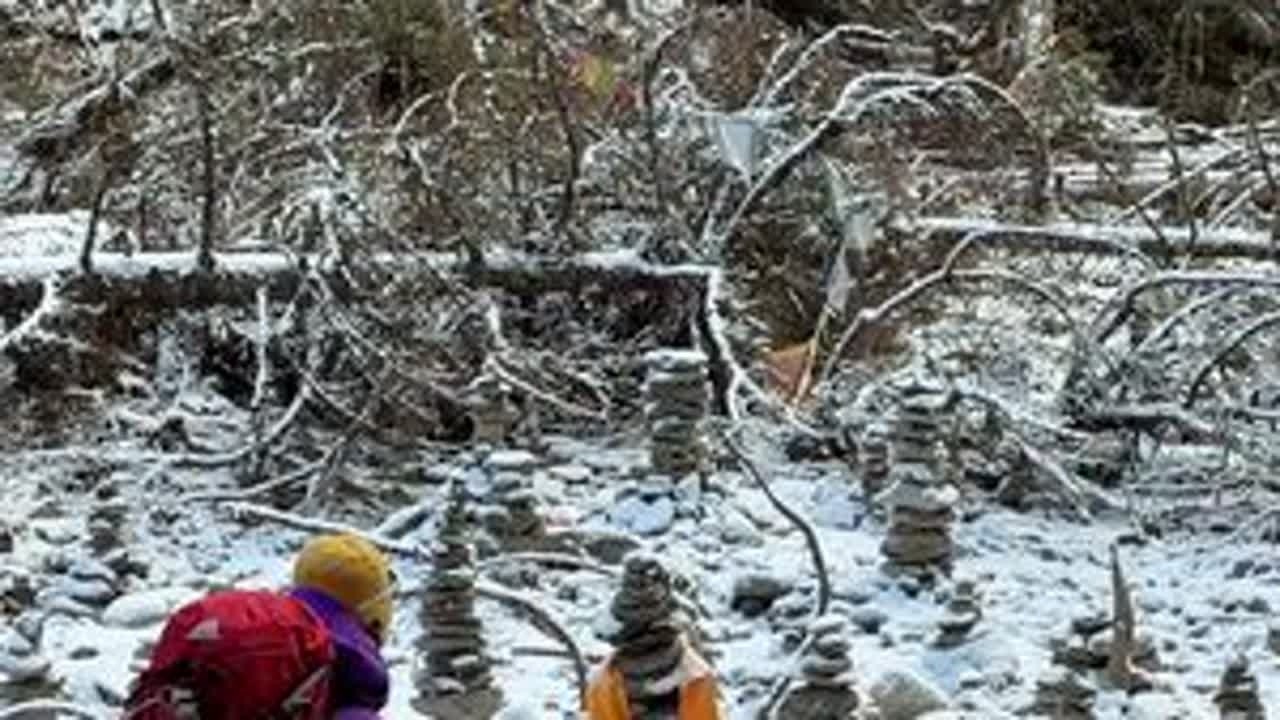 生日永远跟哥哥过今天～哥我在雨崩带着大山里的溪流声 风声 我背包的铃铛声 在祈福的玛尼堆里 祝我们生日快乐 从小到大 虽然一直嫌弃你 但是你真的很好 永远记得你大学里挣的第一份钱是给我买了一件...