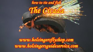 Tying And Fishing The Cicada, Holsinger's Fly Shop