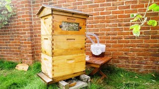 Flow hive Honey harvesting & Beekeeping with Adrian and his 89 year old Mum - UK