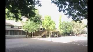 SGV 81-82 batch memories