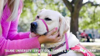 TUSTEP: Meet Tulane's Service Dogs