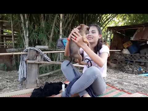 lovely smart girl playing with cute dog on bed