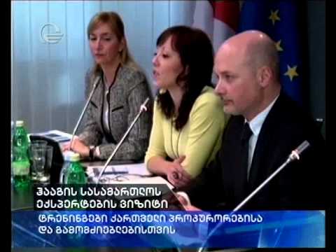 ჰააგის სასამართლოს ექსპერტები საქართველოს პროკურატურაში