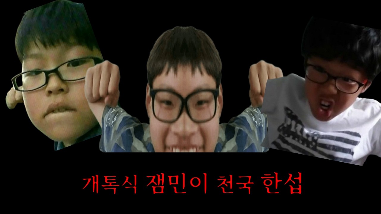 개톡식 잼민이... 한섭은 망한건가요?