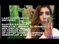 First Cropcircle Of 2026 Decoded Mysteries Of The Easter Gateway Alignment Regulus To The Sphinx 