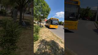 Ikarus ARC indul Mezőcsátról Tiszaújvárosba #share #algorithm #ytshorts #bus