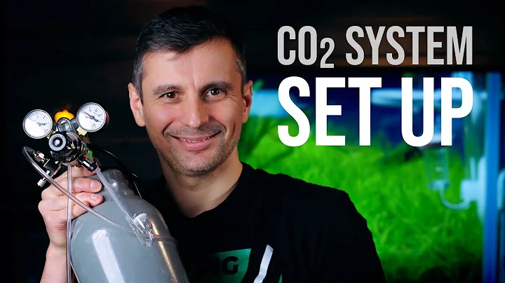 Complete CO2 System Set Up with a DIFFUSER