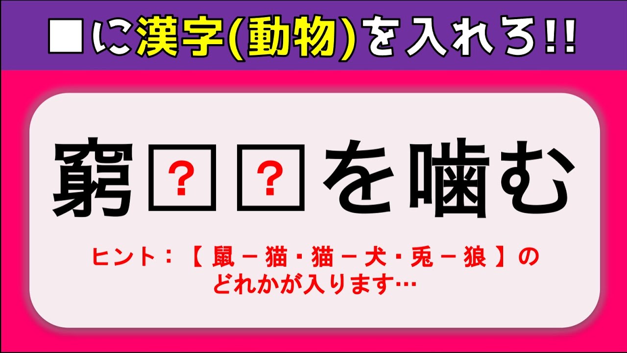 ことわざ穴埋めクイズ 簡単 空欄に動物を入れる高齢者向け脳トレ問題 全10問 Youtube