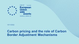 Carbon pricing and the role of Carbon Border Adjustment Mechanisms