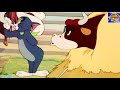 توم وجيري رعات البقر