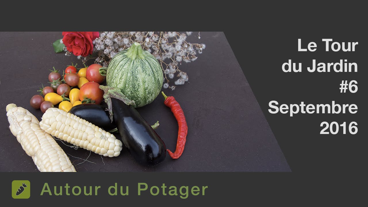 Le jardin et le potager en septembre