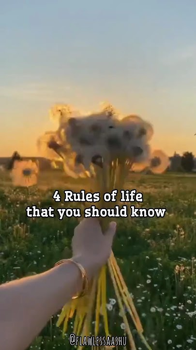 4-rules-of-life-that-you-should-know-trending-youtube