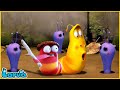 LARVA | SURROUND | CARTOON MOVIE FOR LIFE |THE BEST OF CARTOON | HILARIOUS CARTOON COMPILATION