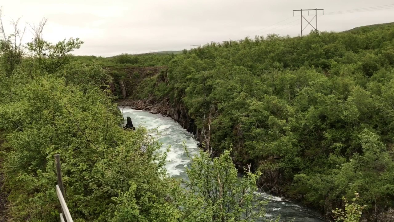 Selskógur — Selskógur, Iceland — video poster