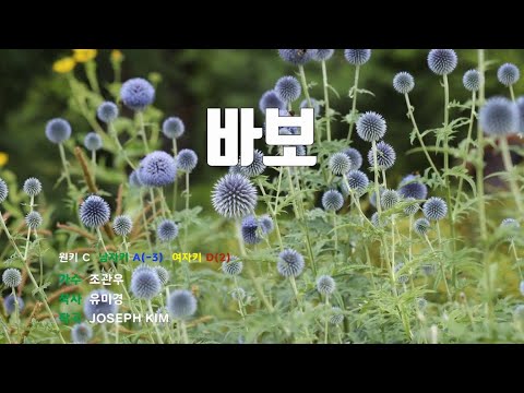 [은성 반주기] 바보 - 조관우