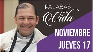 Reflexión del Evangelio jueves 17 noviembre 2022, Padre Antonio Aguirre